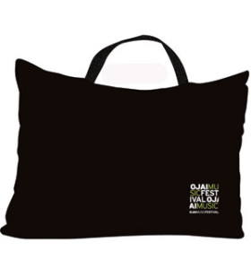 Back pillow