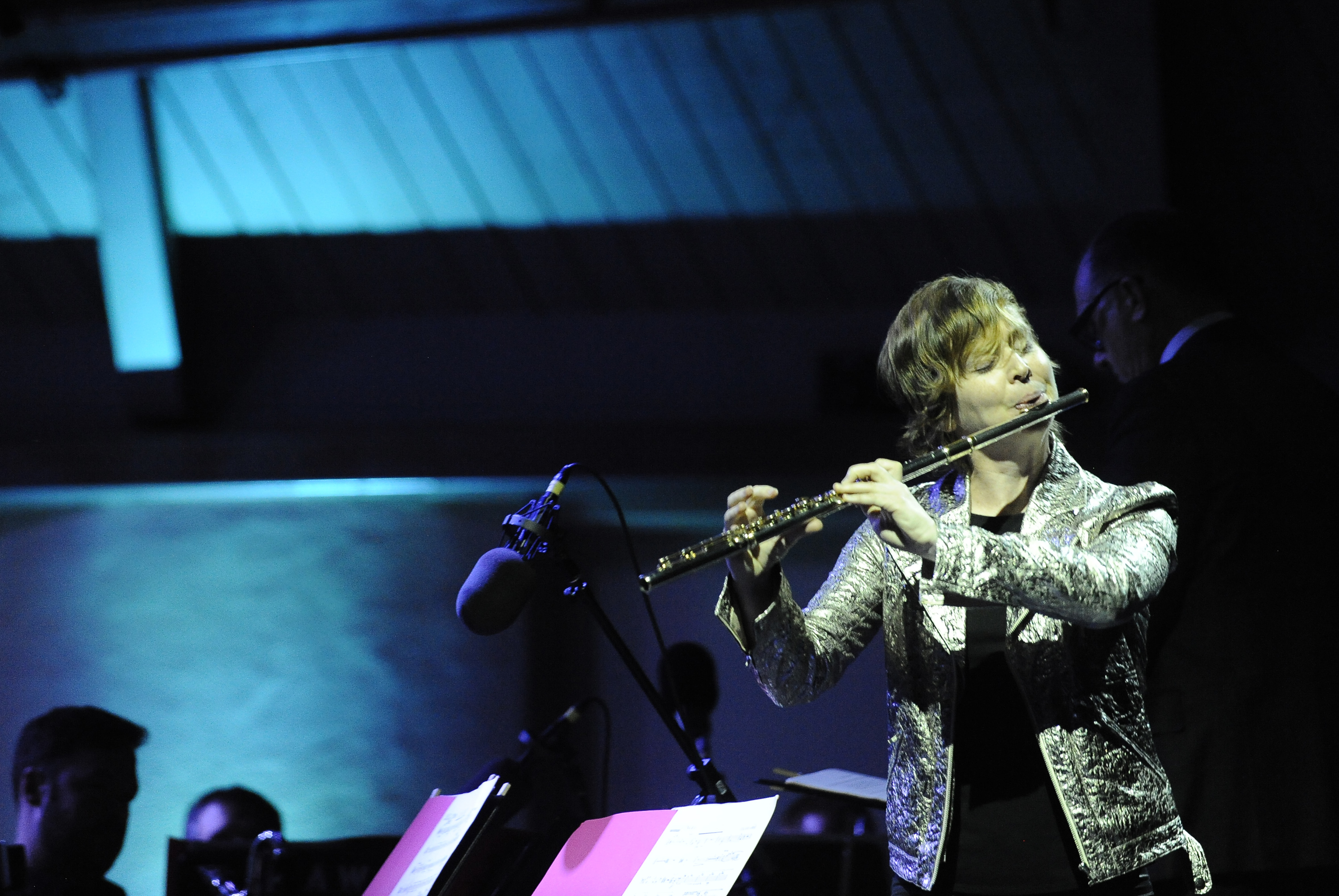 Meet the Festival Artists