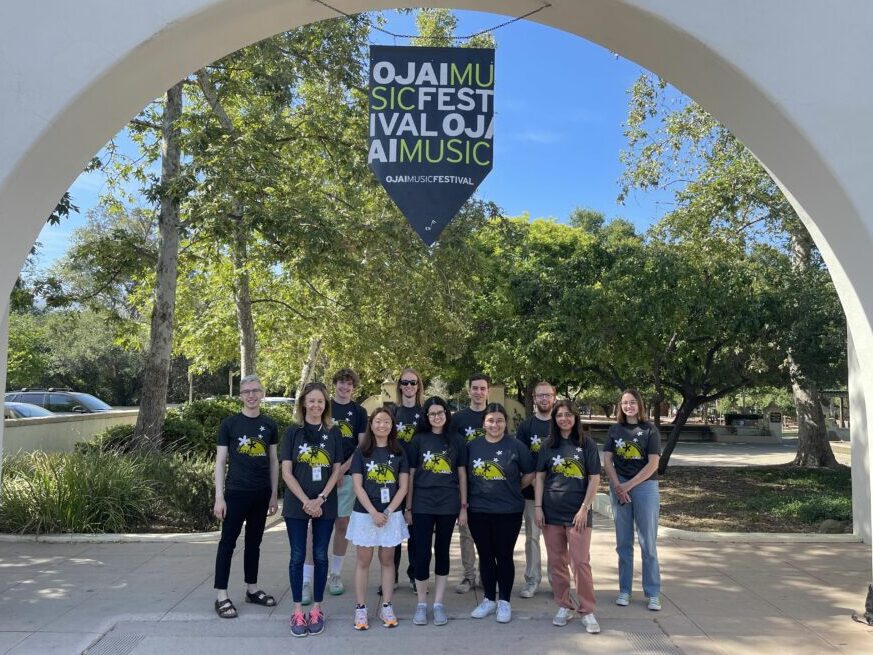 Interns pose under Ojai Festival banners downtown Ojai